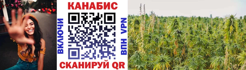 Купить закладку Кокаин Alpha-PVP Метадон МЕФ Гашиш Заволжск
