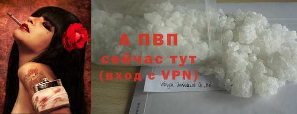 СК Куйбышев