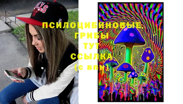 СК Куйбышев