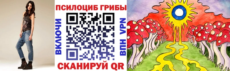 Купить закладки  Заволжск  Псилоцибиновые грибы мухоморы 